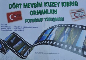 Drt Mevsim Kuzey Kbrs Ormanlar Konulu Fotoraf Yarmas