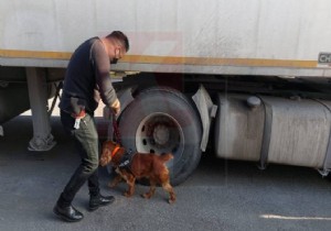 KKTC Narkotik Polisinden Mausa Limannda Youn Denetim